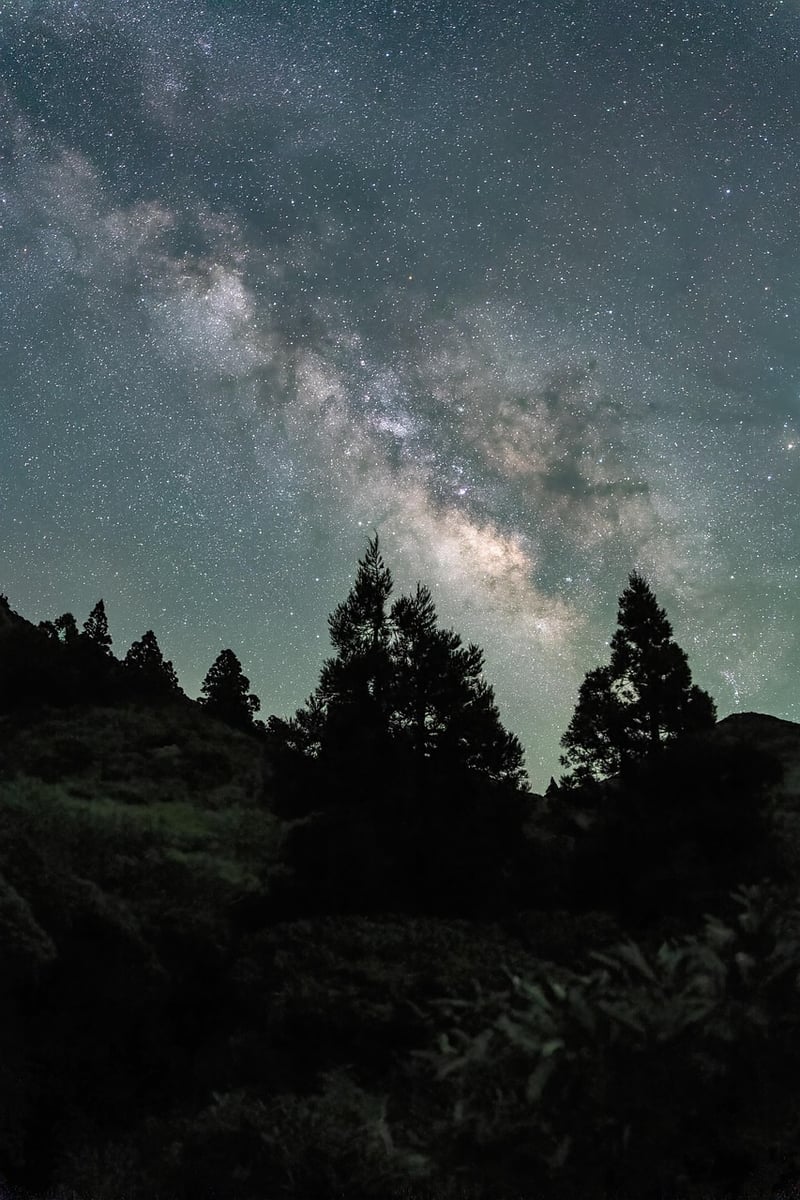 Journey into the Unknown